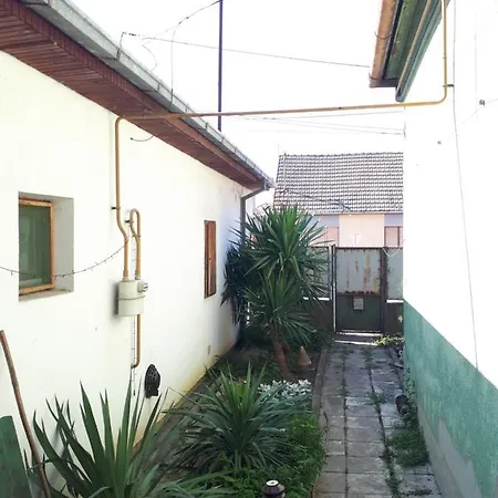 Garden Campsite Novi Sad